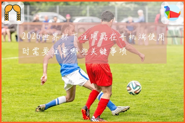 2026世界杯下注网站在手机端使用时需要注意哪些关键事项