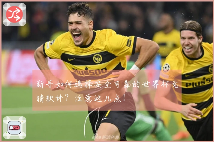新手如何选择安全可靠的世界杯竞猜软件？注意这几点！